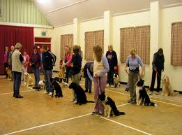 Dog Obedience Training Classes in Cincinnati and Northern Kentucky ...