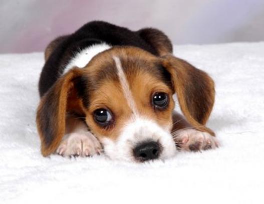 Innocent enough for now Innocent enough for now