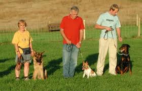 Dog Training Class